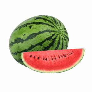 Watermelon Plant